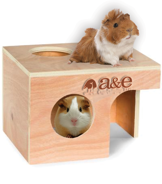 a-e-nibbles-guinea-pig-hut-large