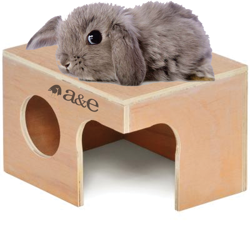 a-e-nibbles-rabbit-hut-xlarge