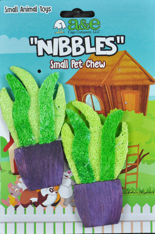 a-e-nibbles-loofah-potted-plant-chews