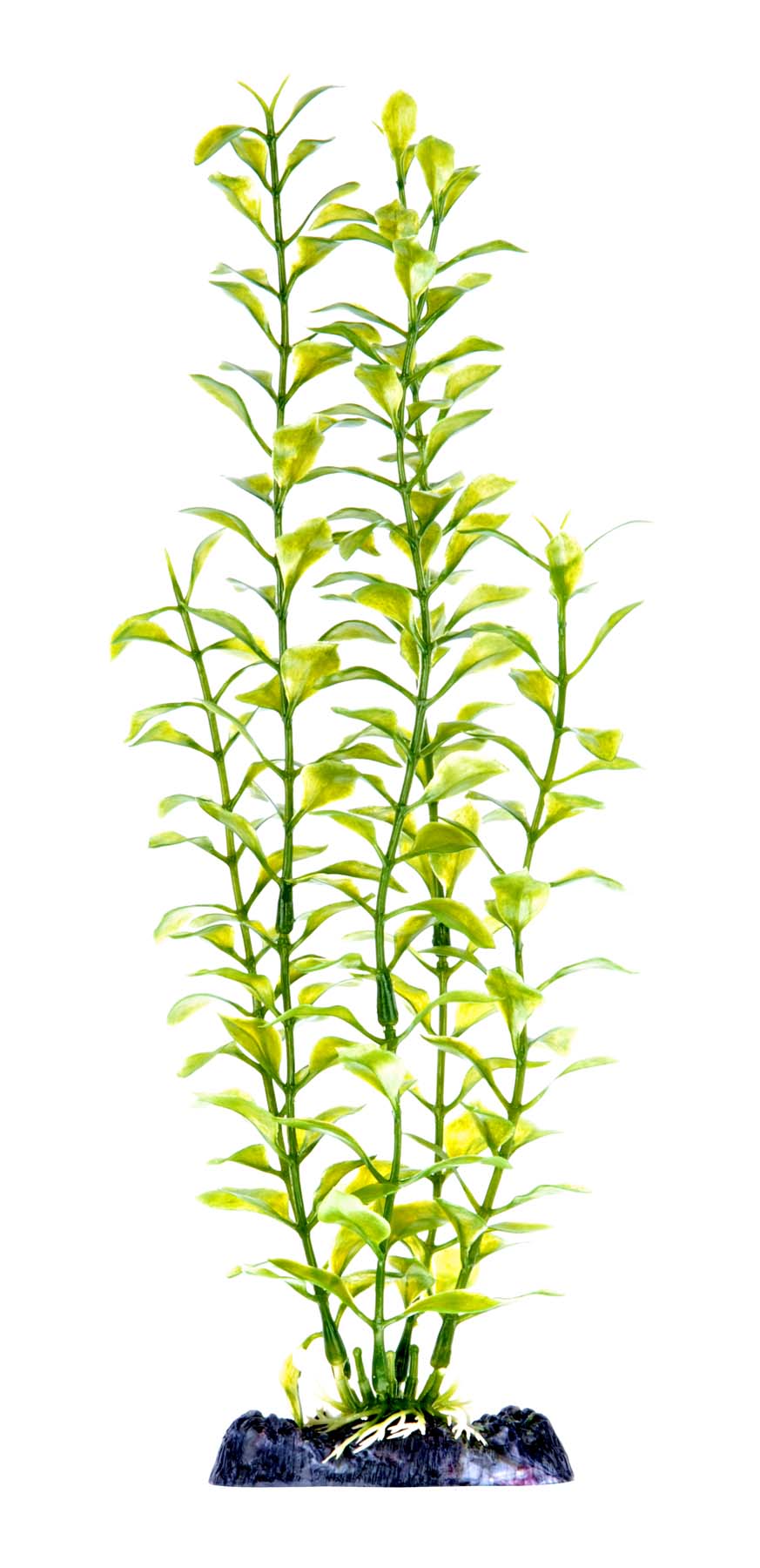 penn-plax-blooming-ludwigia-plant-green-13-inch