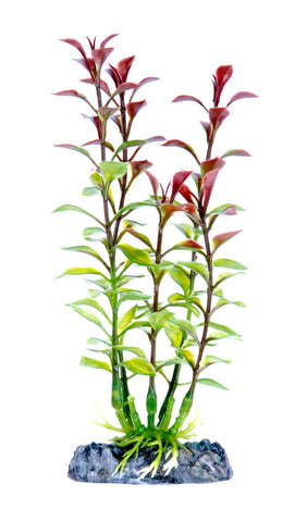 penn-plax-red-ludwigia-plant-7-inch