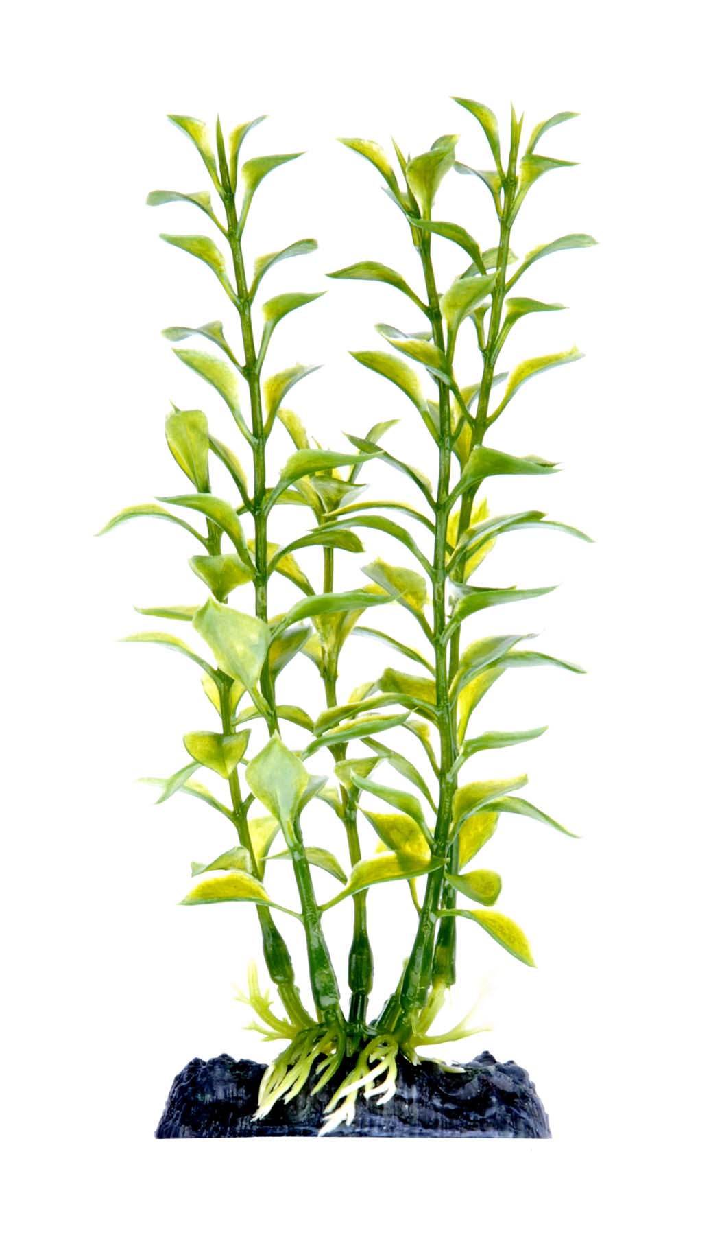 penn-plax-blooming-ludwigia-plant-green-7-inch