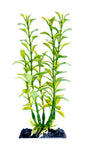 penn-plax-blooming-ludwigia-plant-green-7-inch