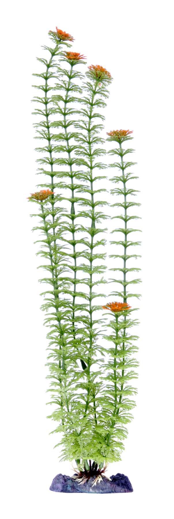 penn-plax-ambulia-plant-18-inch