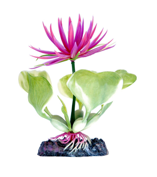 penn-plax-red-water-hyacinth-plant-5-inch