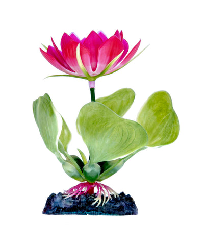 penn-plax-white-water-hyacinth-plant-5-inch