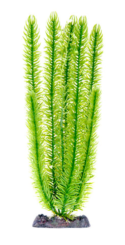 penn-plax-club-moss-plant-7-inch