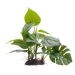 fluval-anubias-plant-8-inch