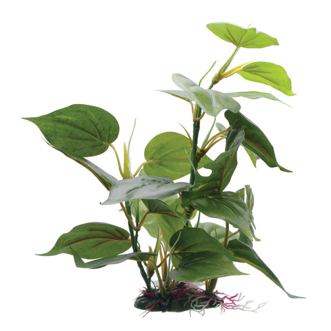 fluval-anubias-plant-12-inch