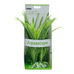 fluval-sriped-acorus-plant-base