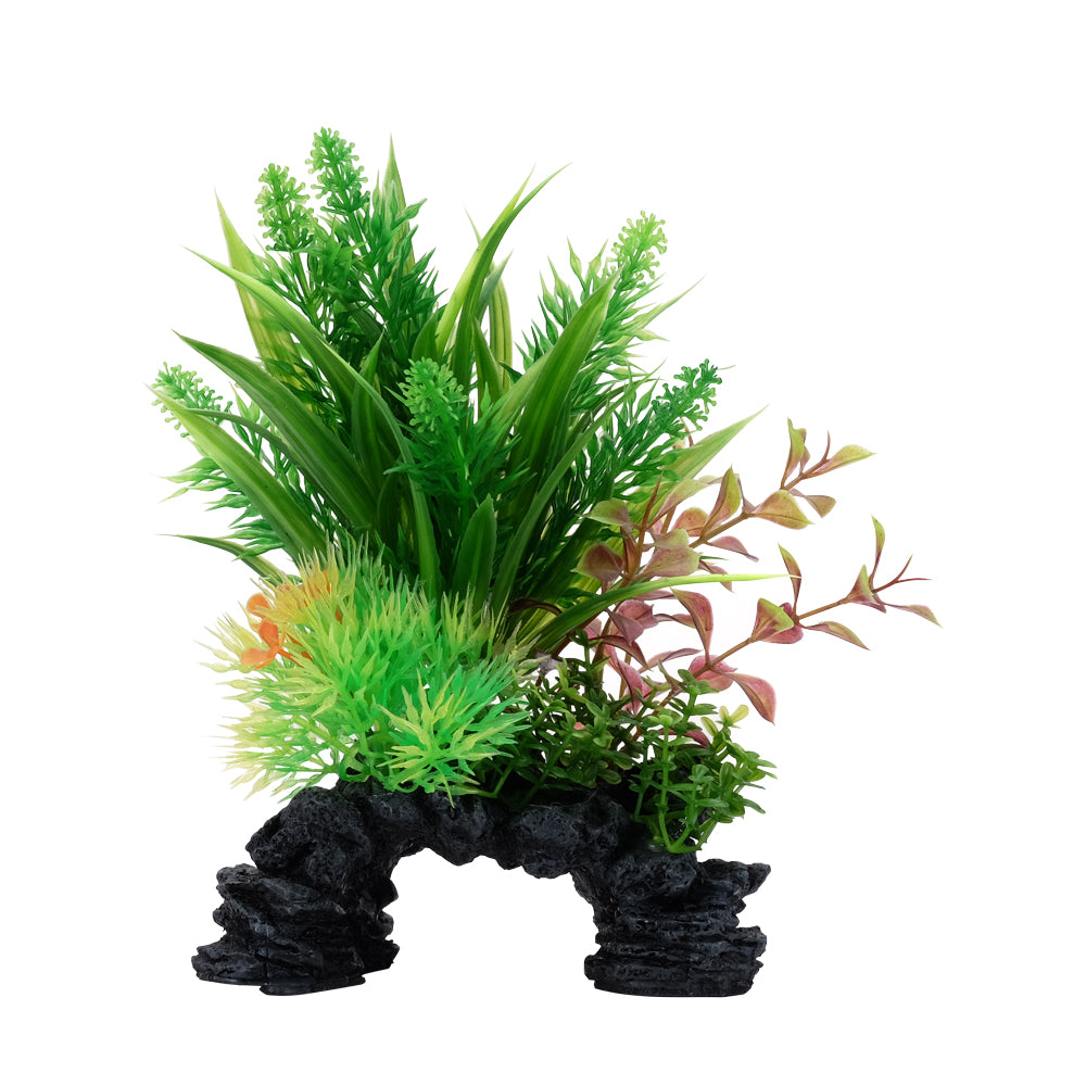 fluval-aqualife-ludwigia-sagittarius-plant-mix-6-8-inch