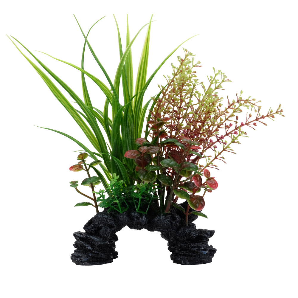 fluval-aqualife-sagittarius-rotala-plant-mix-6-8-inch