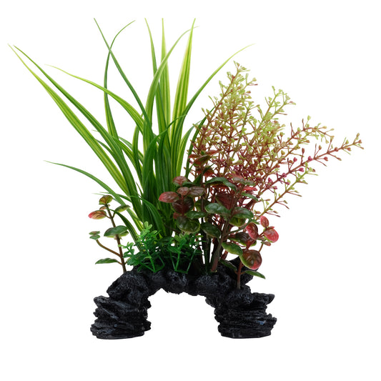 fluval-aqualife-sagittarius-rotala-plant-mix-6-8-inch