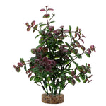fluval-aqualife-red-bacopa-plant-8-inch