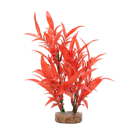 fluval-aqualife-intense-red-hygrophila-8-inch