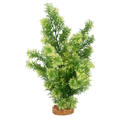 fluval-aqualife-white-tipped-hottonia-plant-14-inch