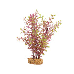 fluval-red-ludwigia-plant-10-inch