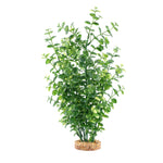 fluval-aqualife-green-bacopa-plant-14-inch