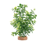 fluval-aqualife-green-bacopa-plant-10-inch
