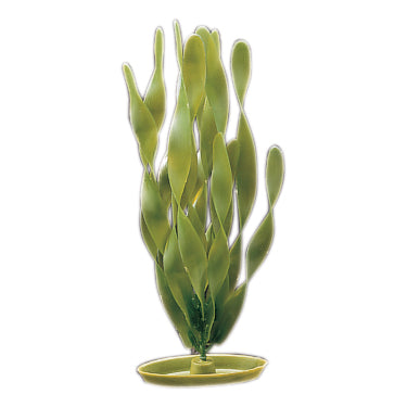 marina-jungle-valisnaria-plant