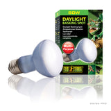 exo-terra-daylight-basking-spot-lamp-50-watt
