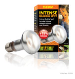 exo-terra-intense-basking-spot-lamp-50-watt