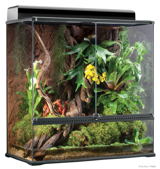 exo-terra-glass-large-xtall-terrarium