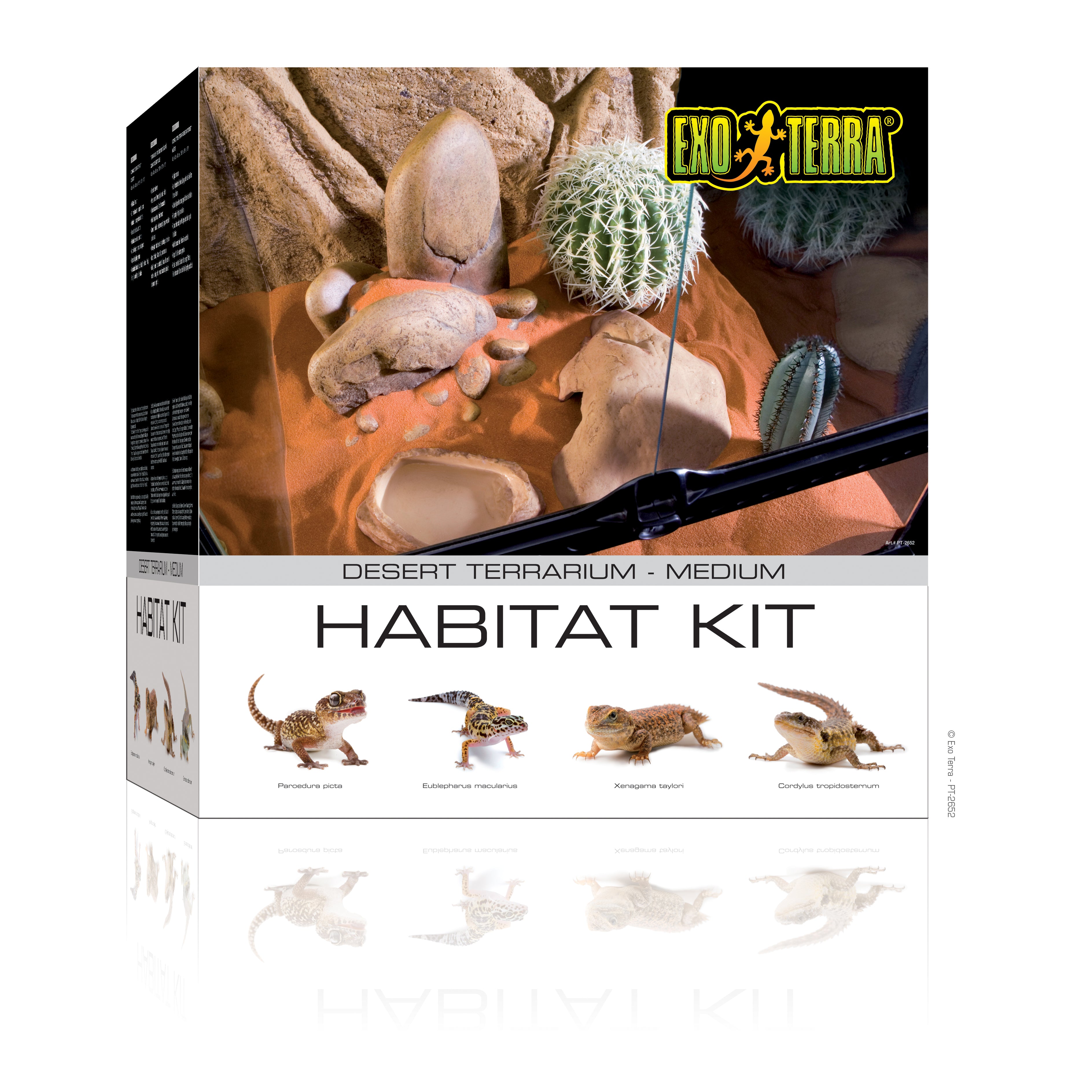 Exo Terra Desert Habitat Kit Medium – KensFish.com