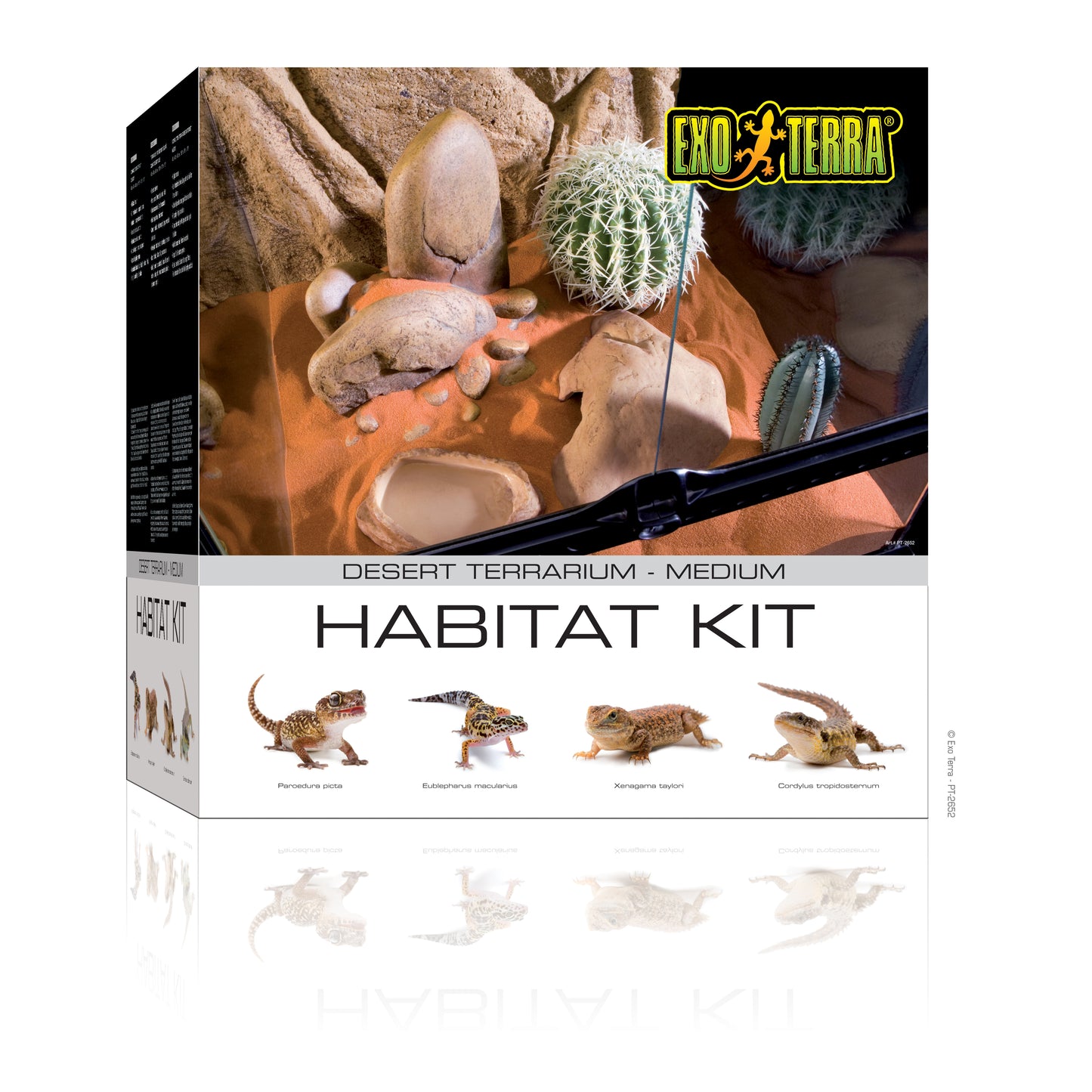 exo-terra-desert-habitat-kit medium