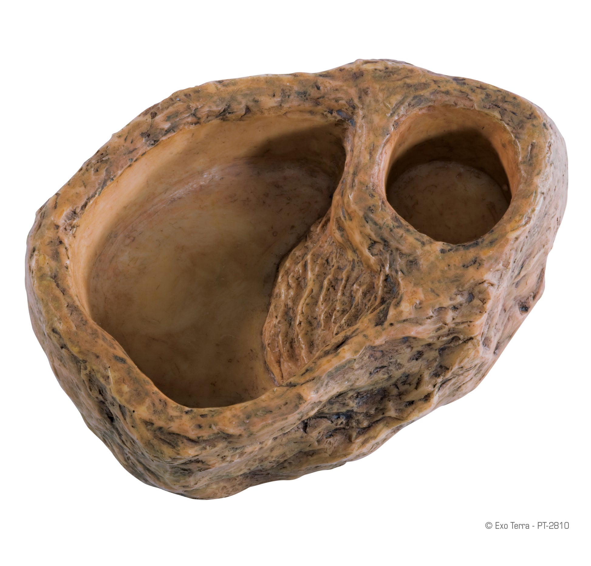 exo-terra-gecko-feeding-dish