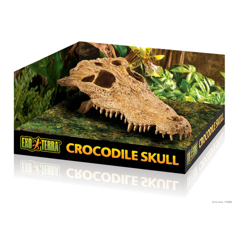 exo-terra-crocodile-skull