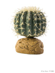 exo-terra-barrel-cactus-small