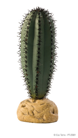 exo-terra-saguaro-cactus