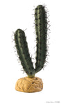 exo-terra-finger-cactus