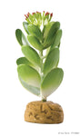 exo-terra-jade-cactus