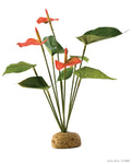 exo-terra-anthurium-bush-plant