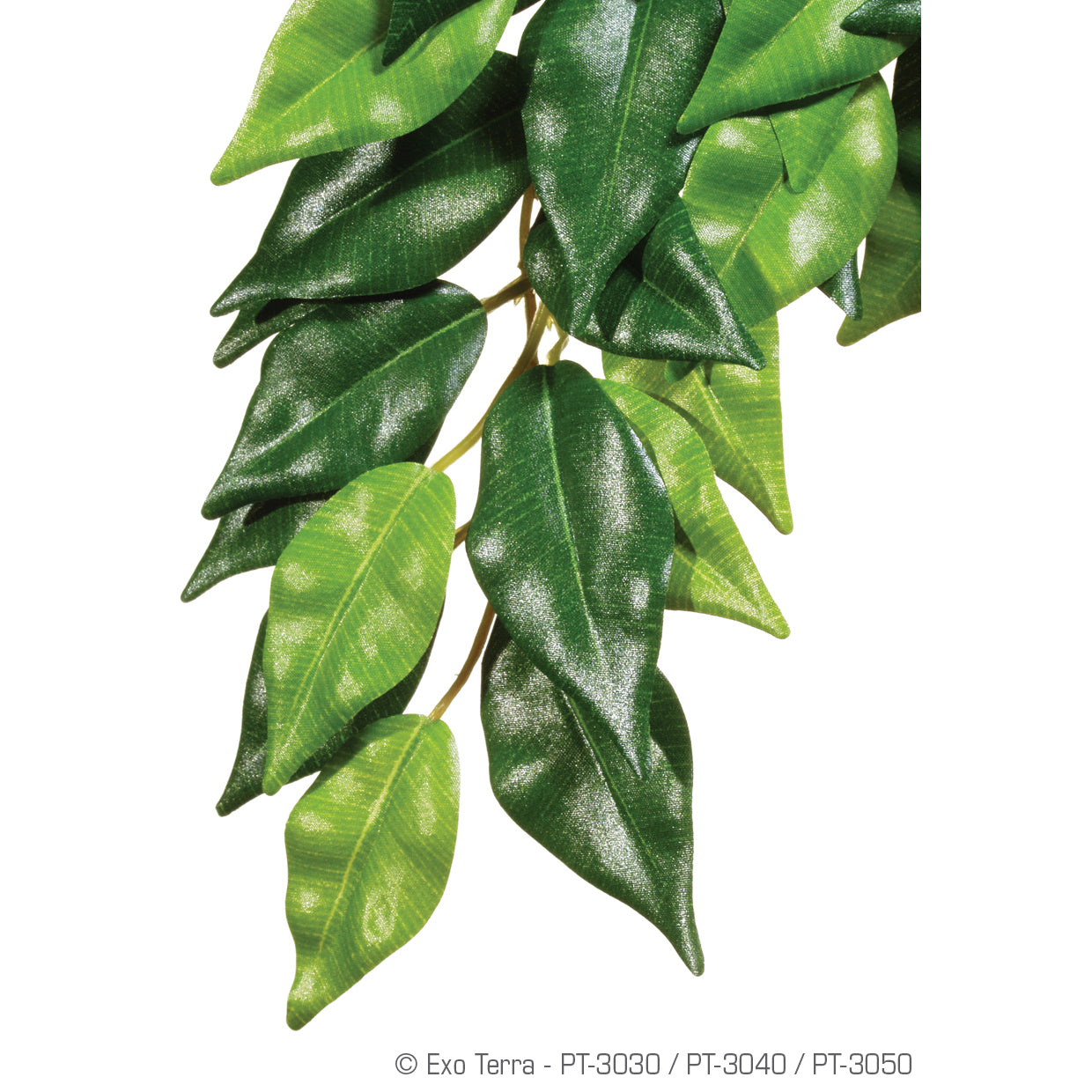 exo-terra-silk-ficus-plant