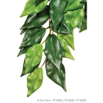exo-terra-silk-ficus-plant