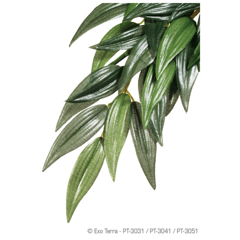 exo-terra-silk-ruscus-plant