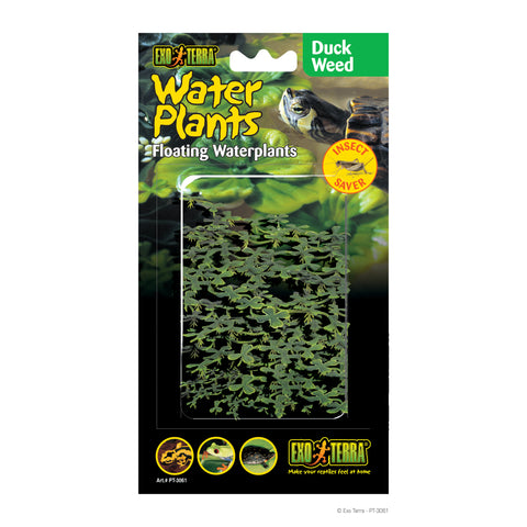 exo-terra-duckweed-water-plant