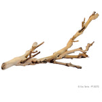 exo-terra-forest-branch-sandblasted-grapevine-small