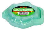 zoo-med-glow-bowl-food-water-dish-combo-small