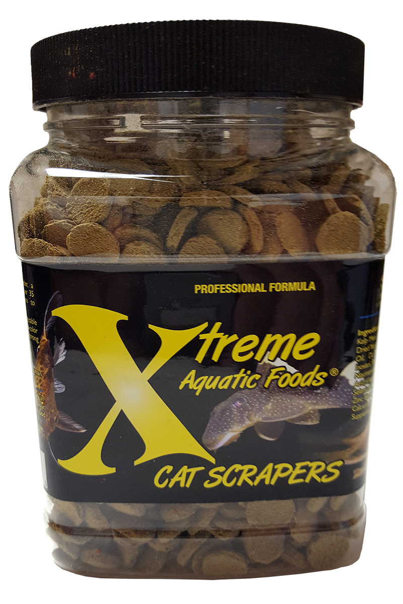 xtreme-cat-scrapers