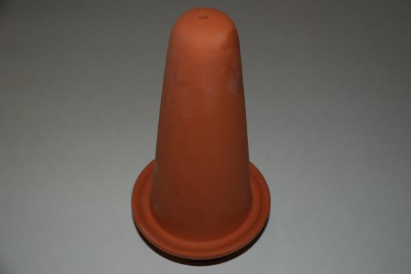 breeding-cone-lip