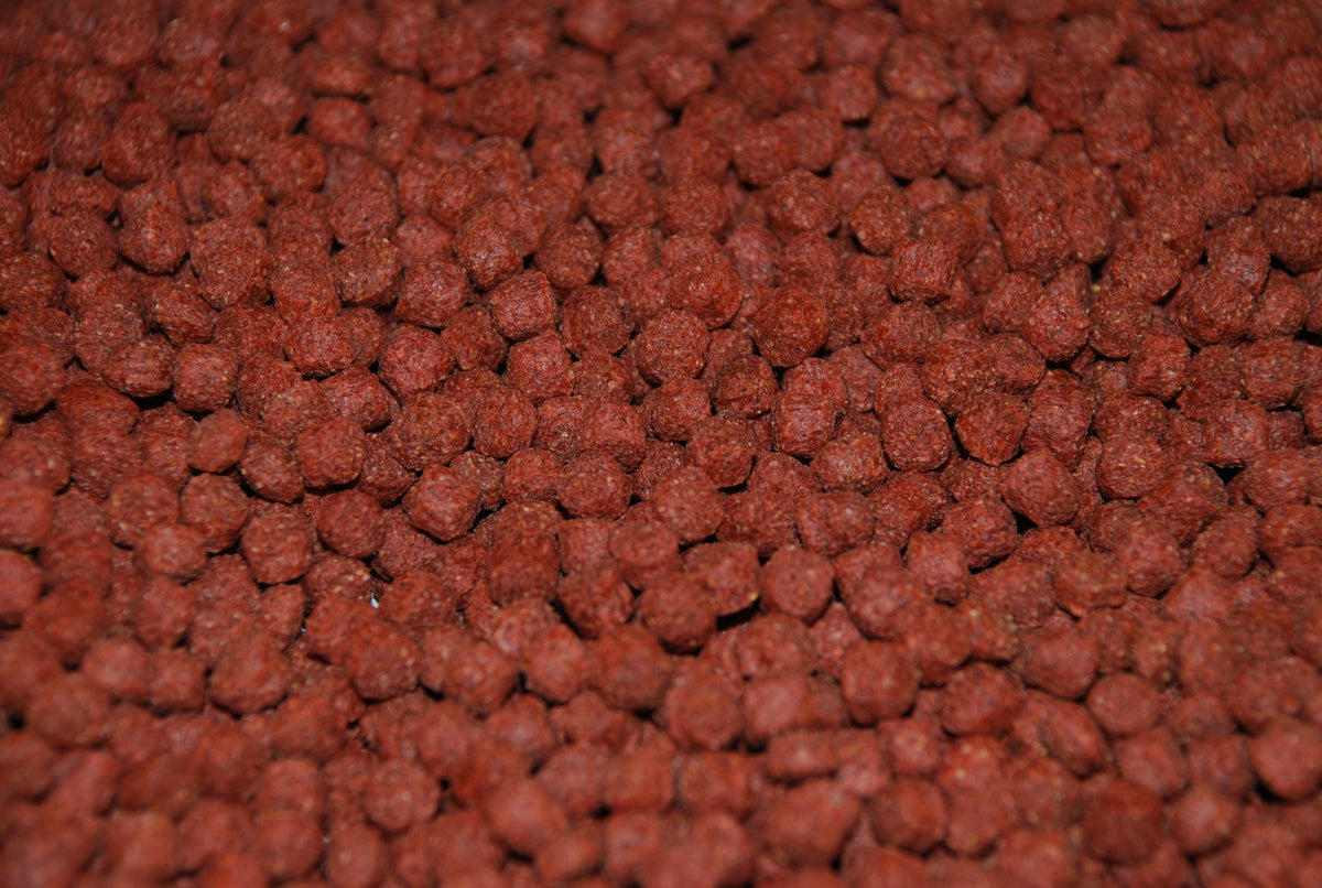 Ken's Premium Spring/Fall Koi & Goldfish Pellets 5 mm – KensFish.com