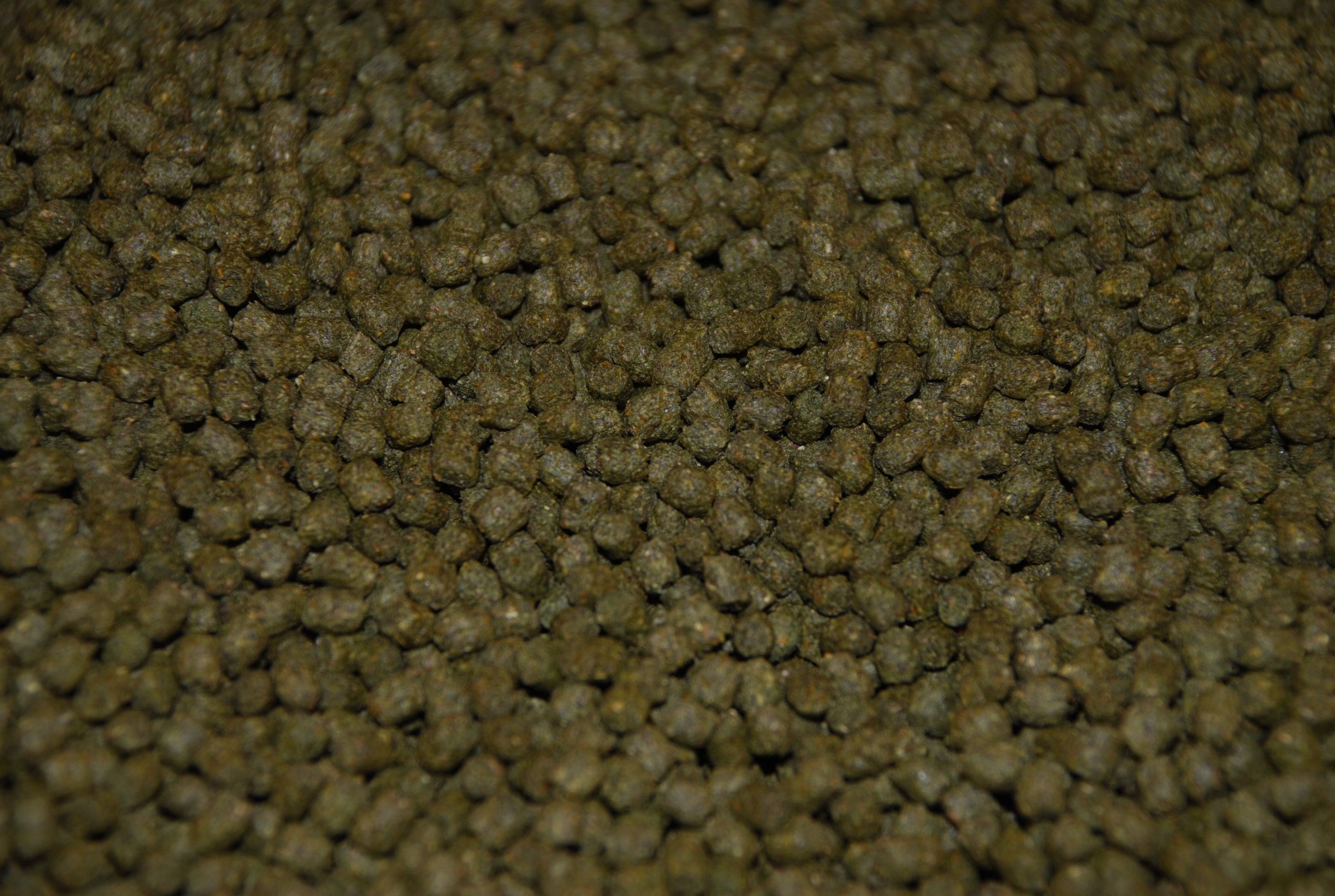 Ken's Premium Summer Koi & Goldfish Pellets 3 mm – KensFish.com